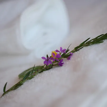 Hórreos De Abrela * O Vicedo