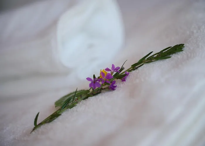 Horreos De Abrela * O Vicedo